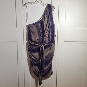 Ramy Brook Purple Metallic One-Shoulder Ruched Mini Dress
